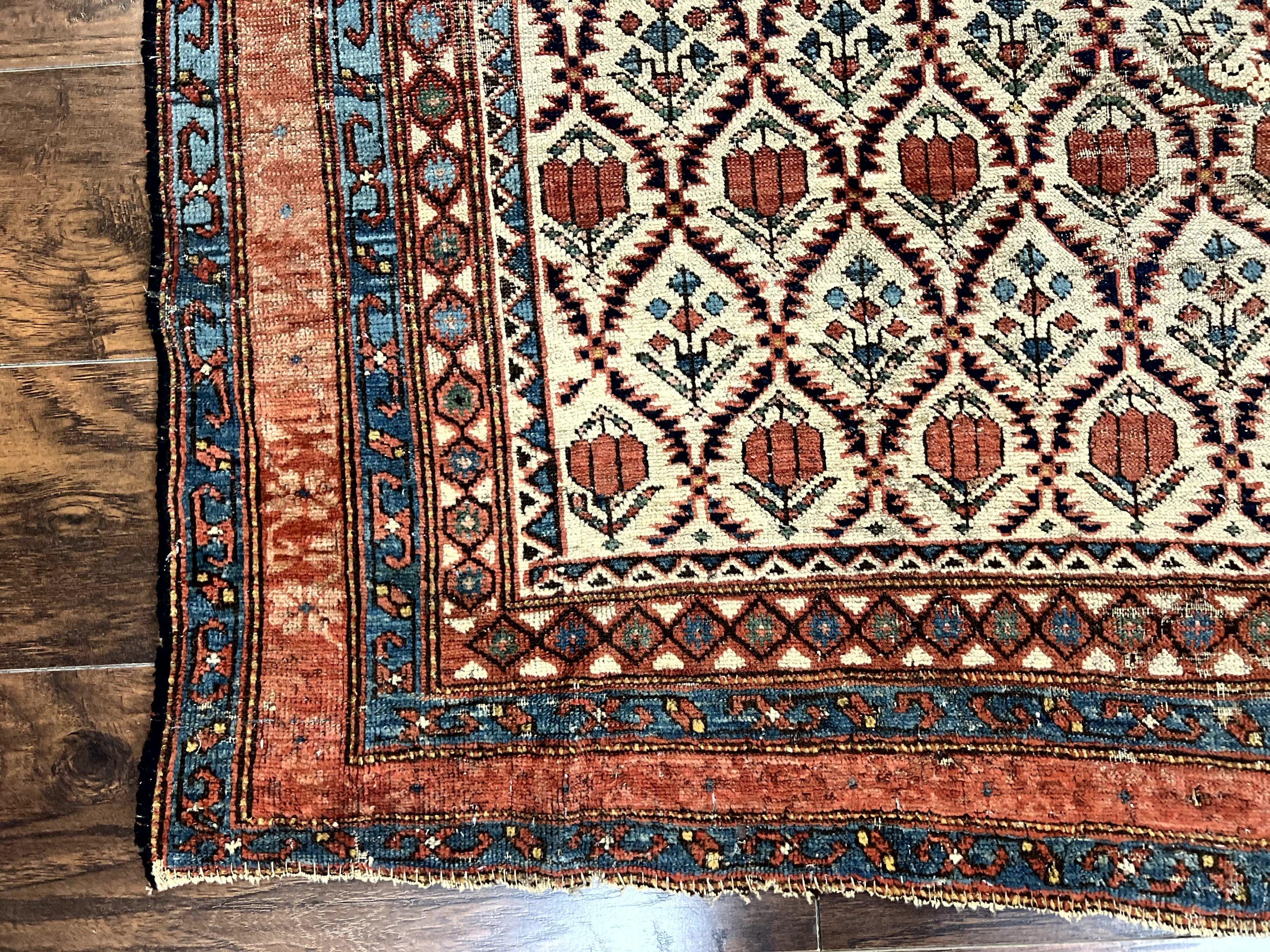 Antique Caucasian Rug 4x6, Hand Knotted Wool Carpet, Shirvan Rug - Image 8
