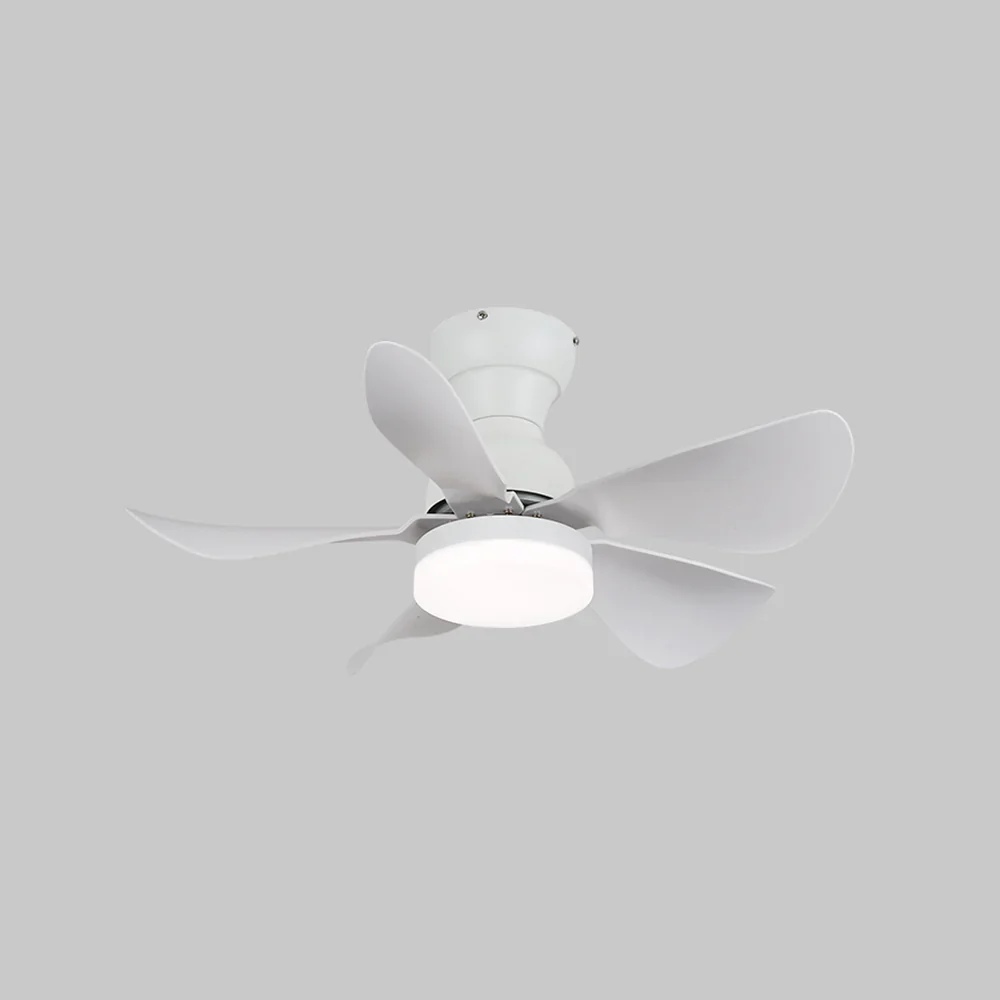 Arilia Small Blade Ceiling Fan Light - Image 10