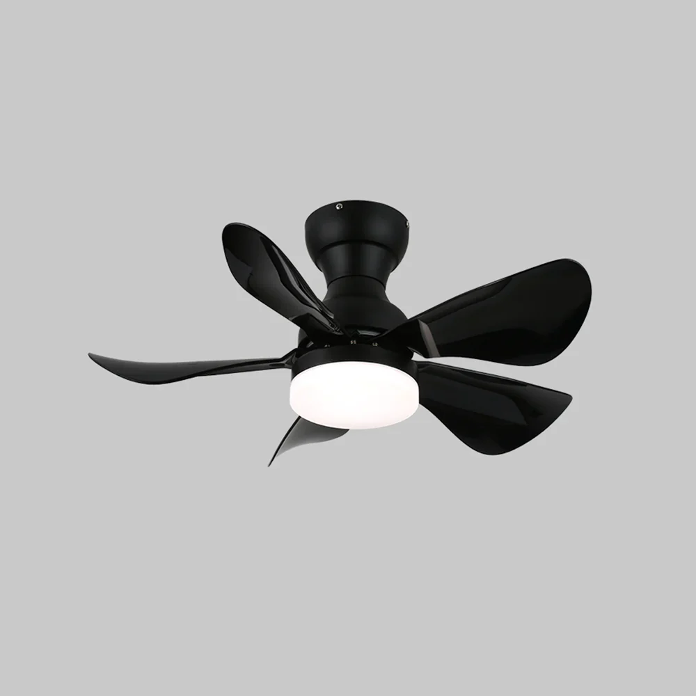 Arilia Small Blade Ceiling Fan Light - Image 9