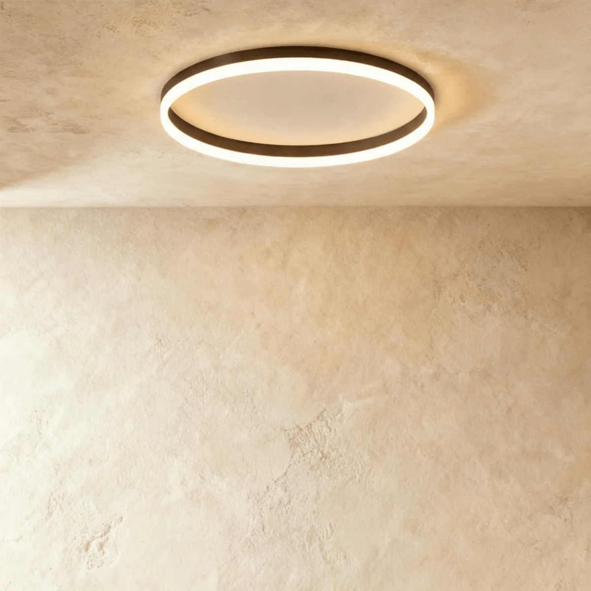 Esperanza Ceiling Light - Image 6