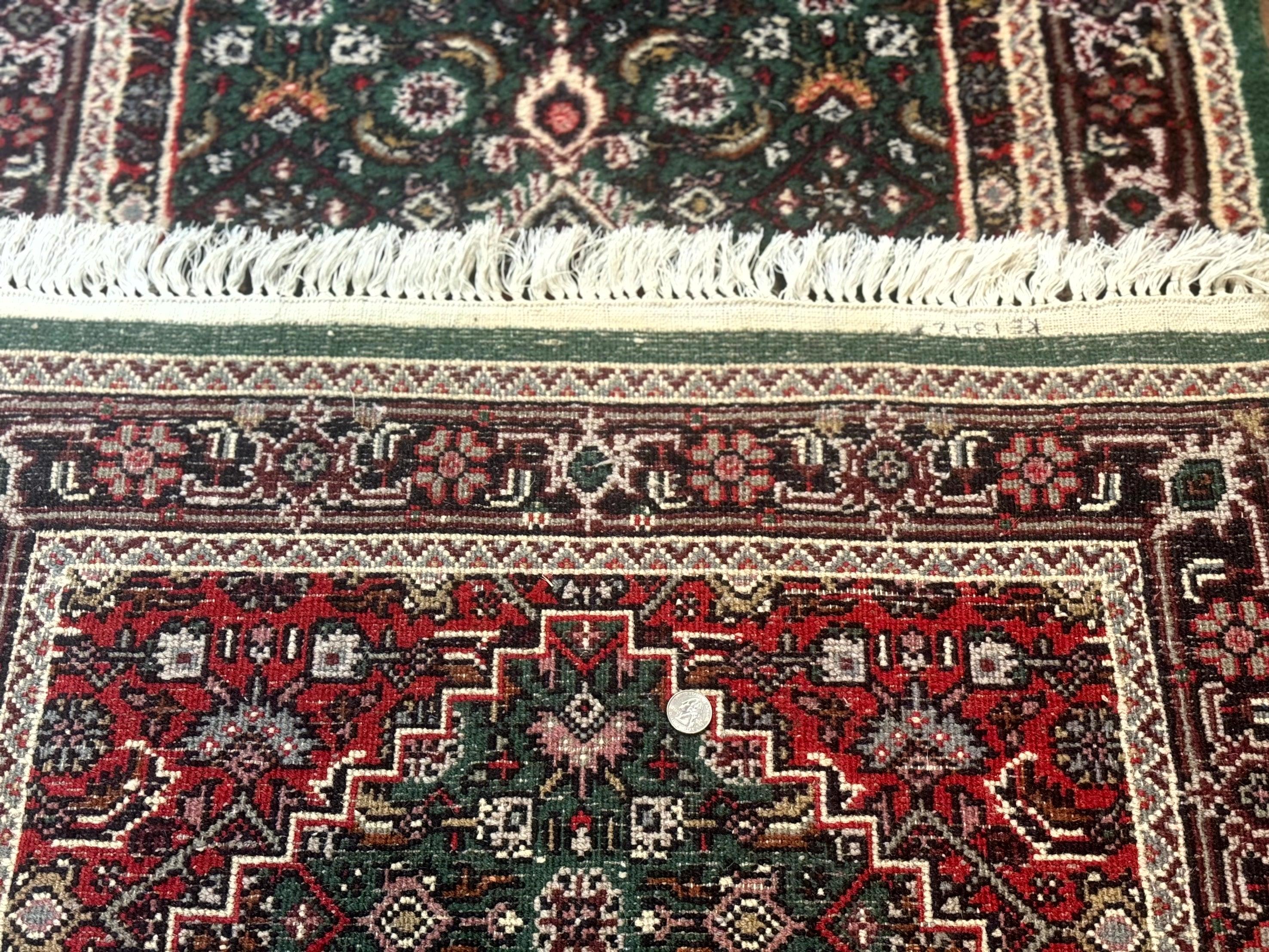 Green Indo Persian Bidjar Runner Rug 3x10, Green and Red - Image 10