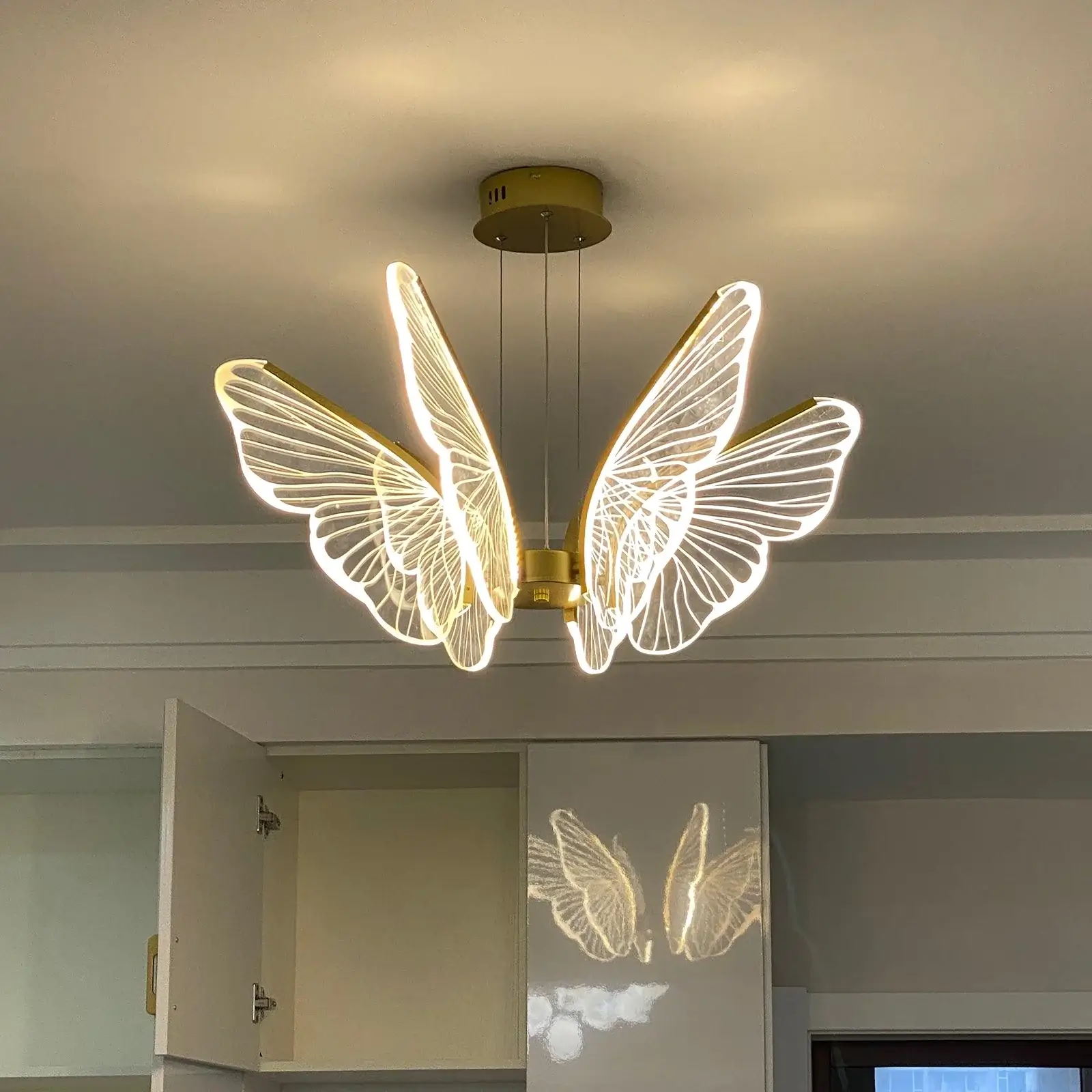 Phalaenopsis Chandelier - Image 14