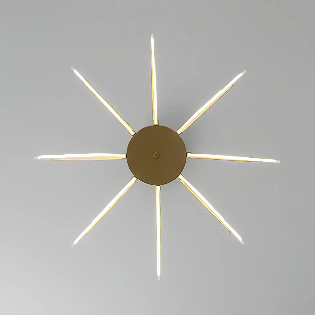 Phalaenopsis Chandelier - Image 26