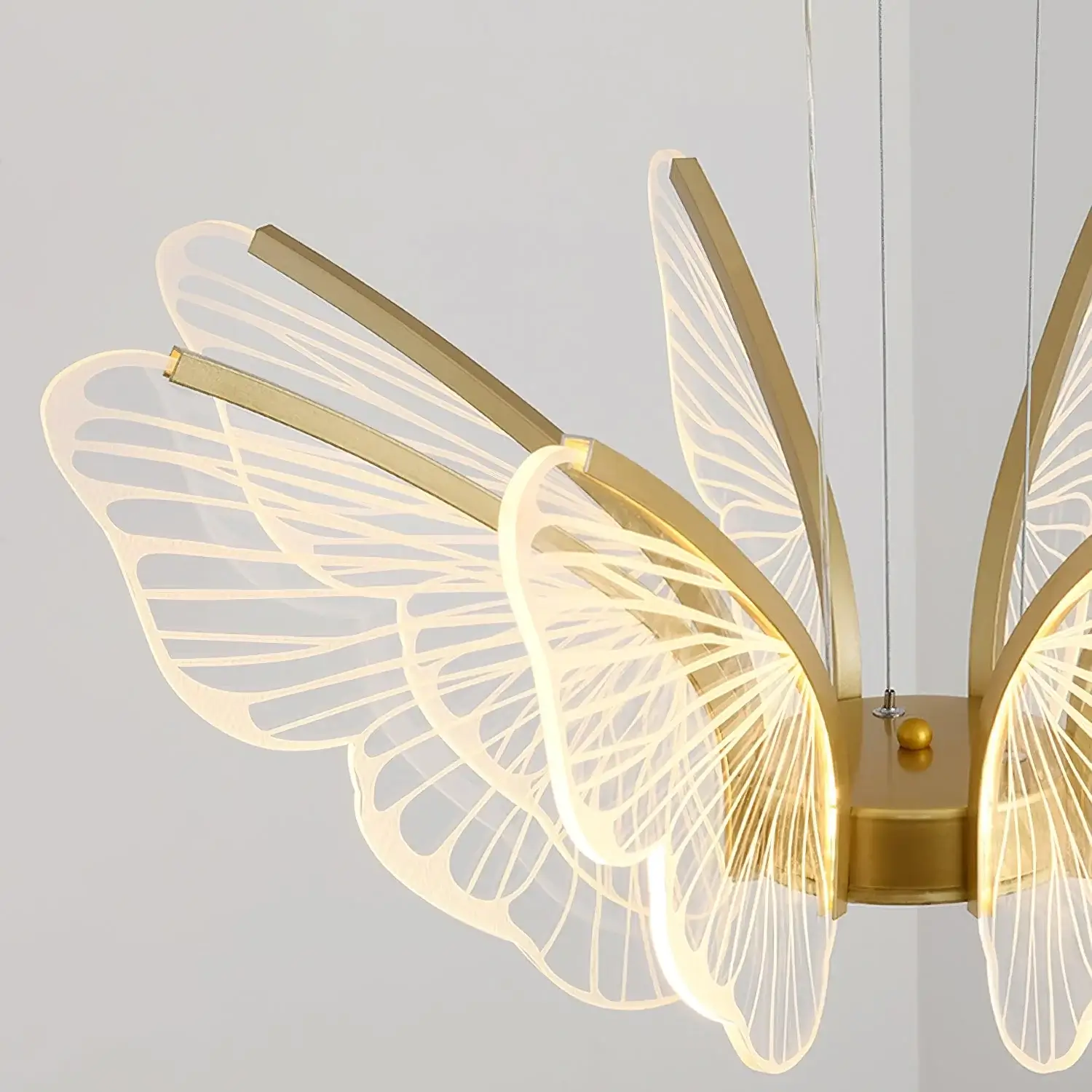 Phalaenopsis Chandelier - Image 29