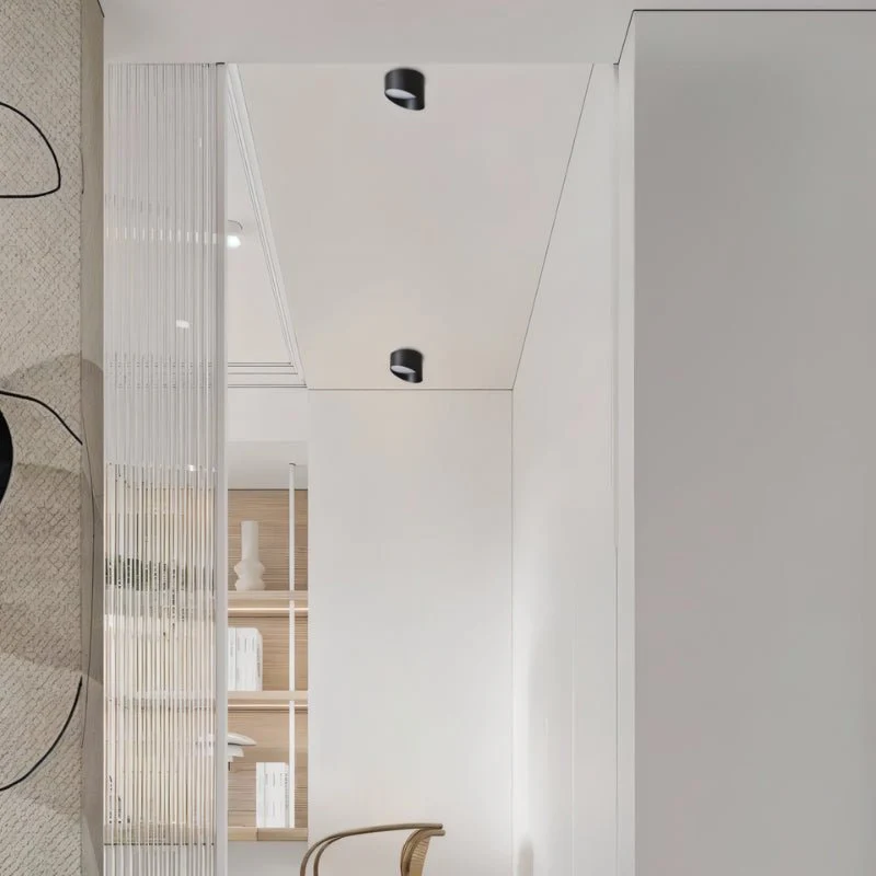 Siona Downlight - Image 4