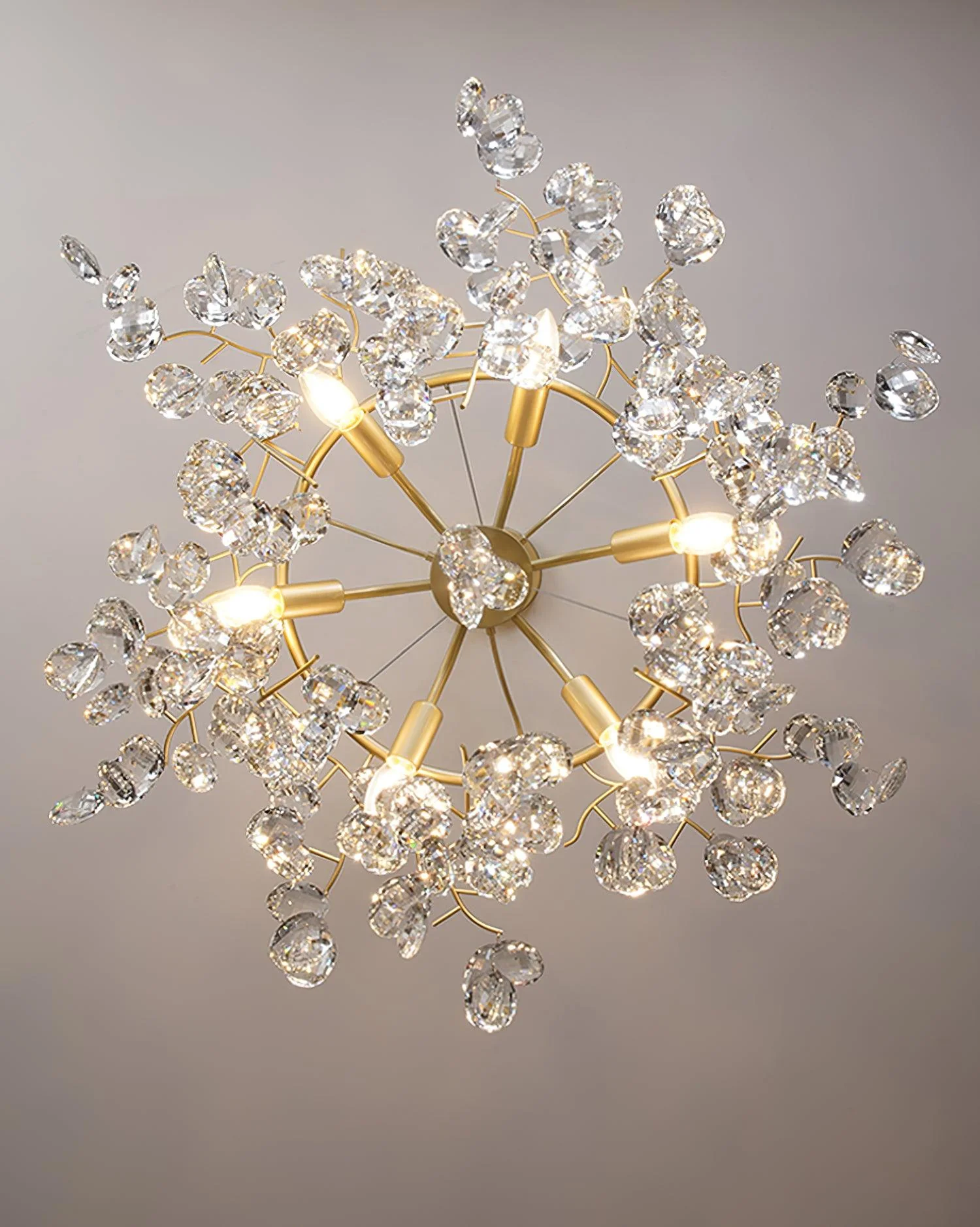 Sofia Chandeliers - Image 22
